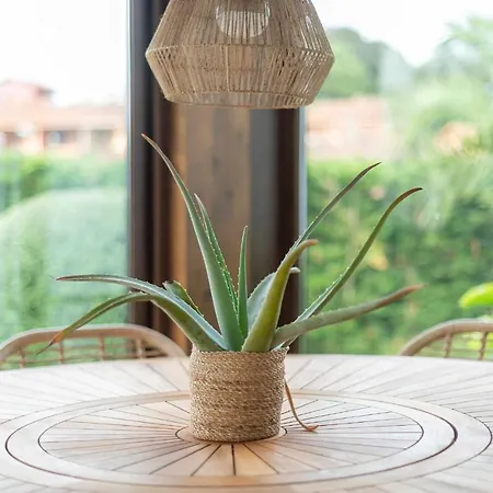 Vacacional Taty * 利亚内斯