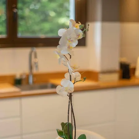 Ferienhaus Vacacional Taty *